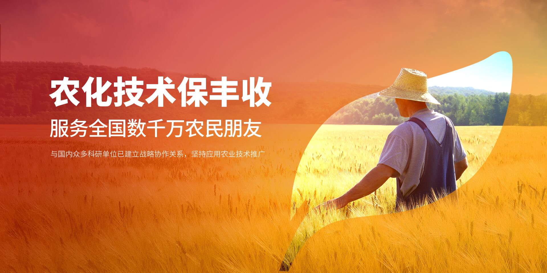 7790必发集团中国