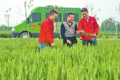 万庄化肥定造化出产让经销商表演新角色